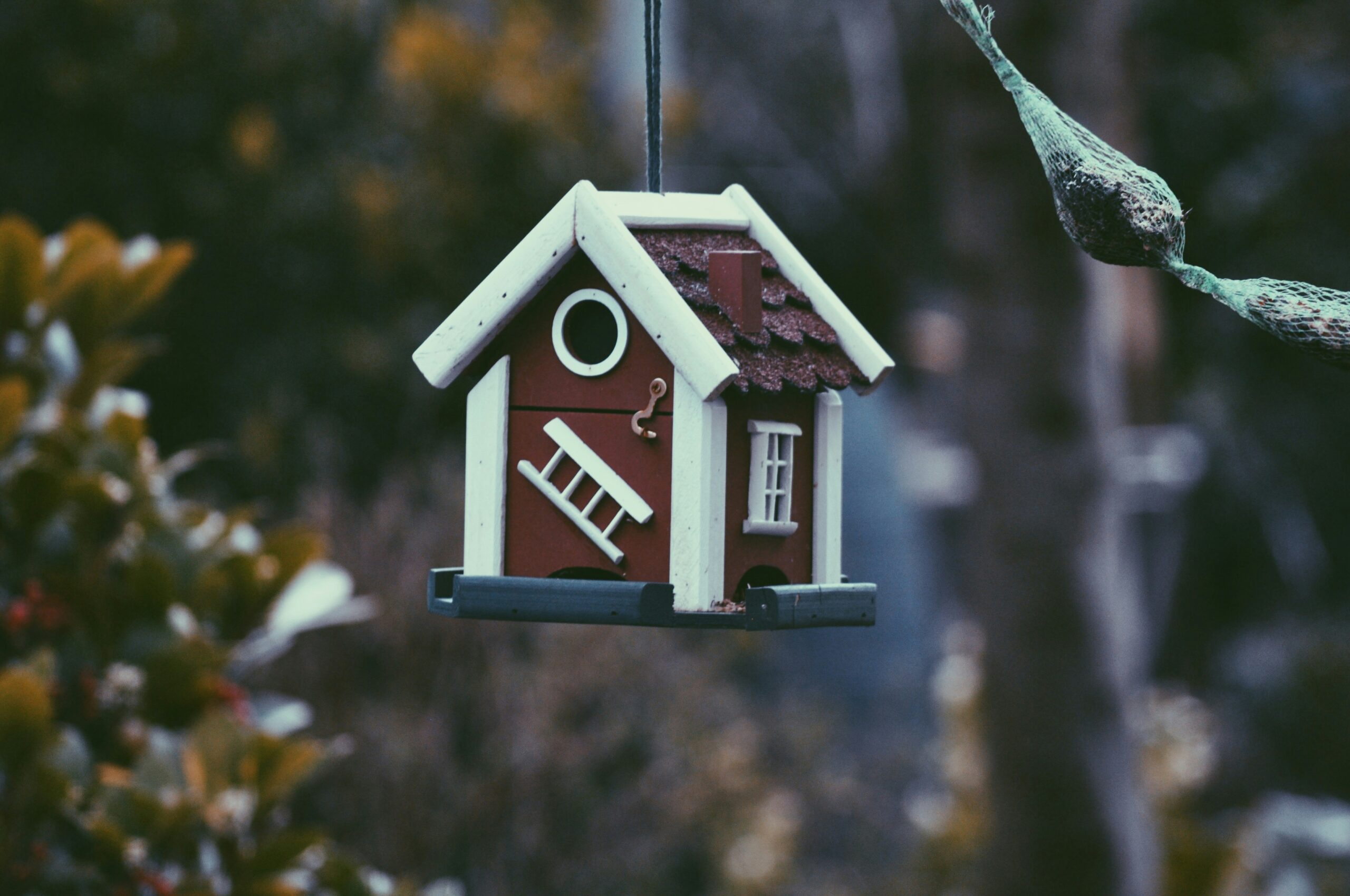 woodloch real estate