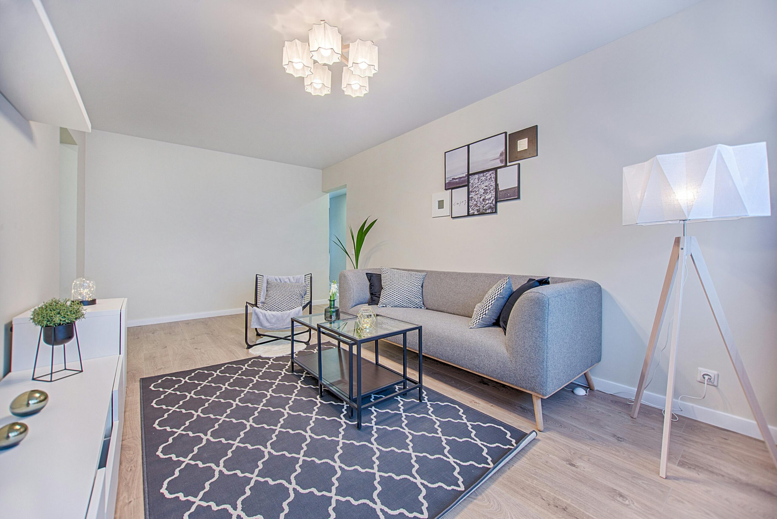 elyse harney real estate