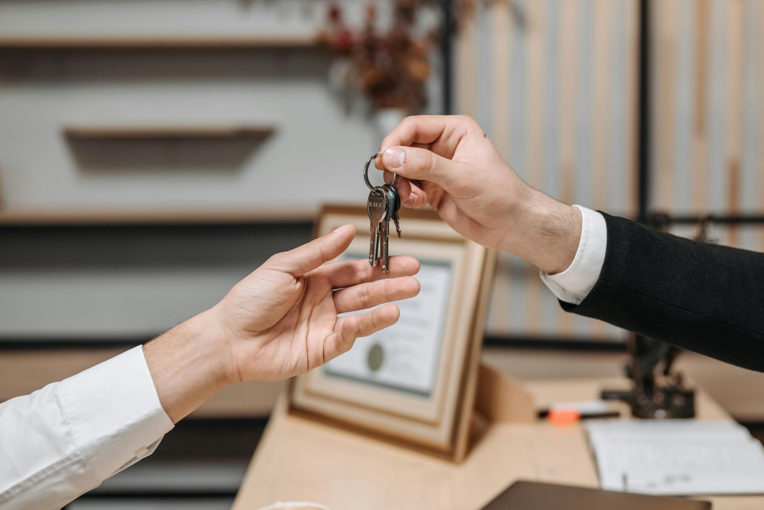 ipj real estate middlebury